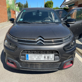 Frontale C4 Cactus