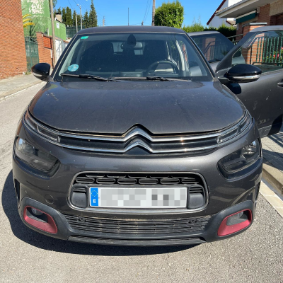 Frontal C4 Cactus